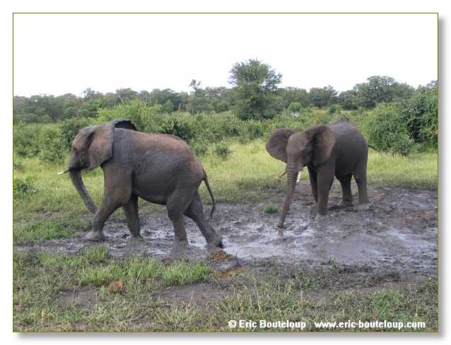 045_BOTSWANA_ZAMBIE_2005_Mars