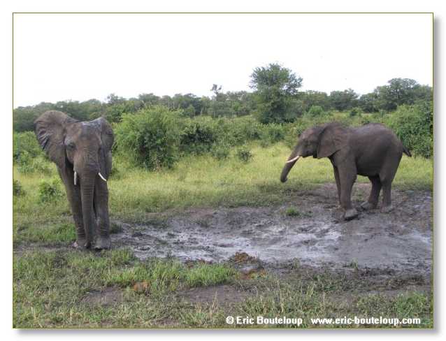 046_BOTSWANA_ZAMBIE_2005_Mars