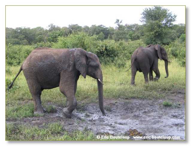 047_BOTSWANA_ZAMBIE_2005_Mars