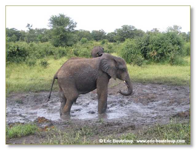 049_BOTSWANA_ZAMBIE_2005_Mars