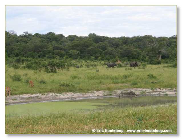 053_BOTSWANA_ZAMBIE_2005_Mars
