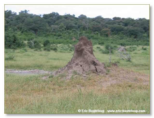 058_BOTSWANA_ZAMBIE_2005_Mars