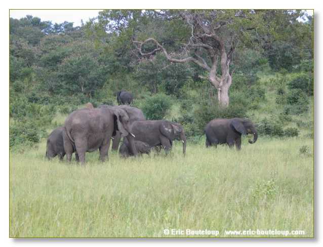 063_BOTSWANA_ZAMBIE_2005_Mars