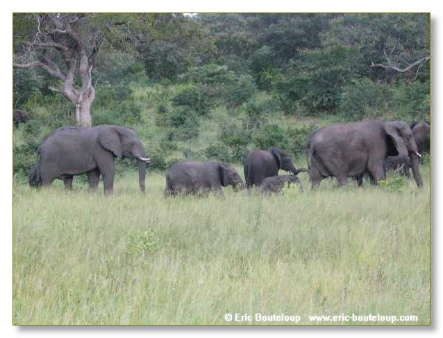064_BOTSWANA_ZAMBIE_2005_Mars