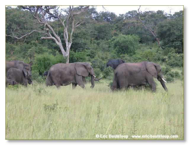 065_BOTSWANA_ZAMBIE_2005_Mars