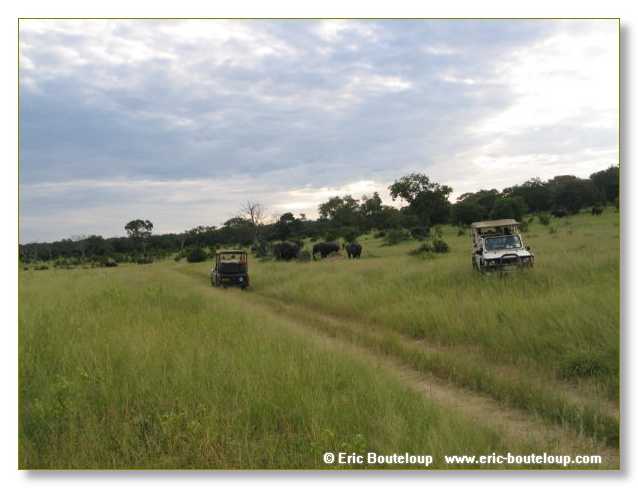 066_BOTSWANA_ZAMBIE_2005_Mars