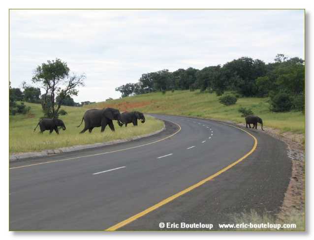 067_BOTSWANA_ZAMBIE_2005_Mars