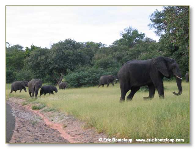 068_BOTSWANA_ZAMBIE_2005_Mars