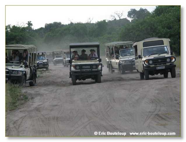 071_BOTSWANA_ZAMBIE_2005_Mars