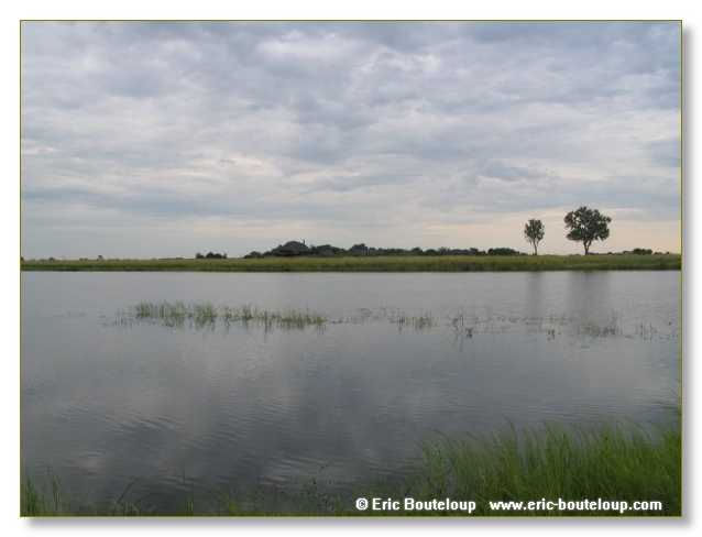 074_BOTSWANA_ZAMBIE_2005_Mars