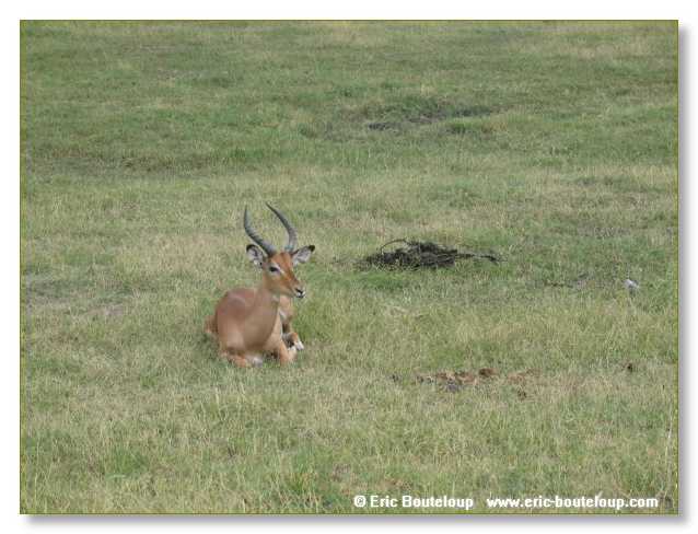 080_BOTSWANA_ZAMBIE_2005_Mars