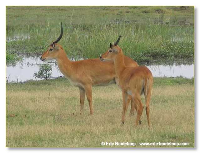 081_BOTSWANA_ZAMBIE_2005_Mars