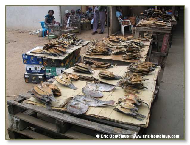 093_BOTSWANA_ZAMBIE_2005_Mars