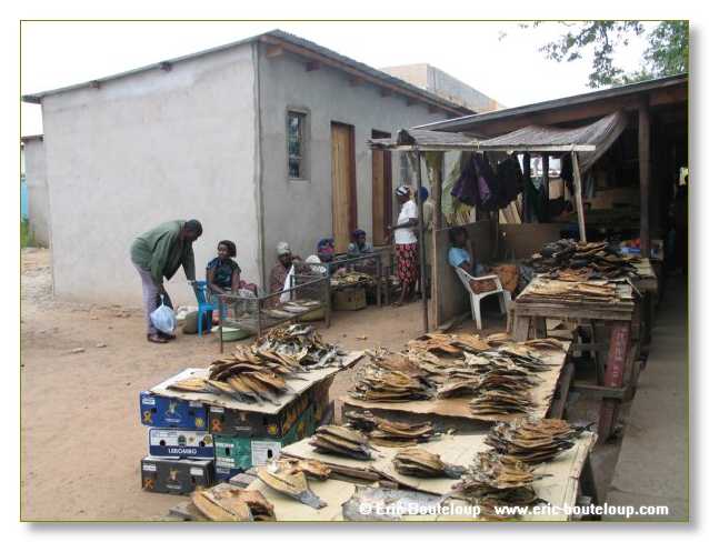 094_BOTSWANA_ZAMBIE_2005_Mars