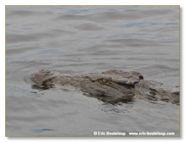 120_BOTSWANA_ZAMBIE_2005_Mars