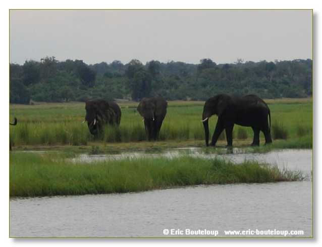 121_BOTSWANA_ZAMBIE_2005_Mars