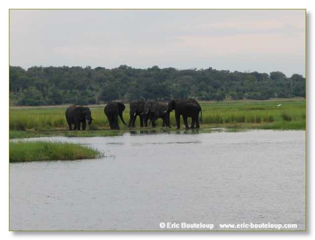 122_BOTSWANA_ZAMBIE_2005_Mars