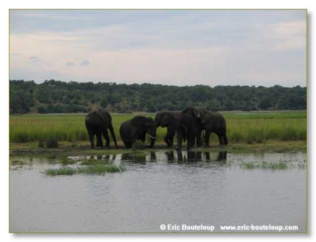 124_BOTSWANA_ZAMBIE_2005_Mars