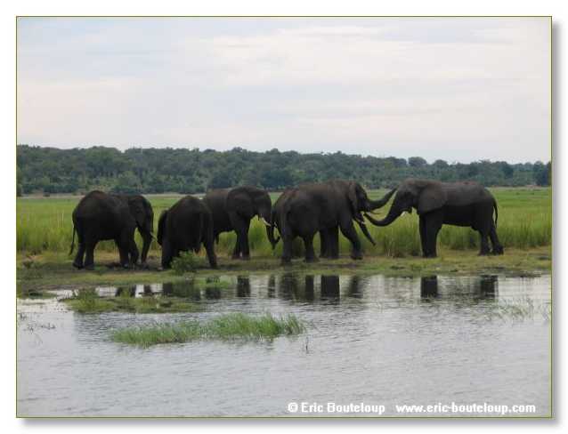 127_BOTSWANA_ZAMBIE_2005_Mars