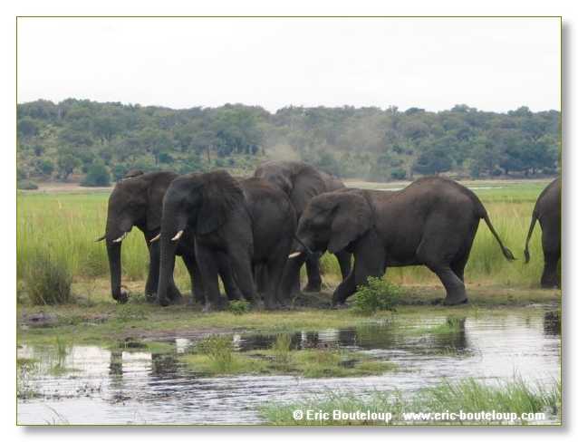 131_BOTSWANA_ZAMBIE_2005_Mars