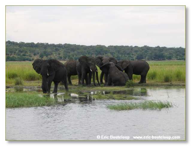 132_BOTSWANA_ZAMBIE_2005_Mars