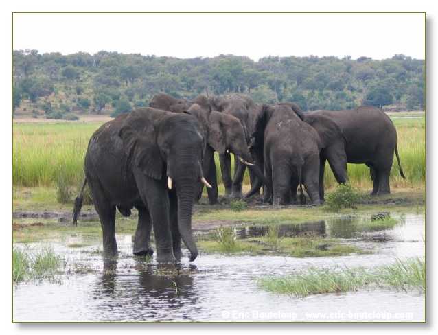 133_BOTSWANA_ZAMBIE_2005_Mars