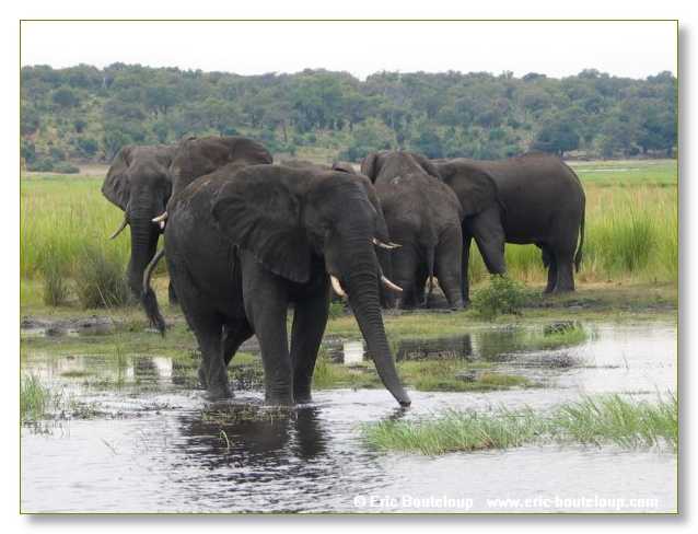 134_BOTSWANA_ZAMBIE_2005_Mars