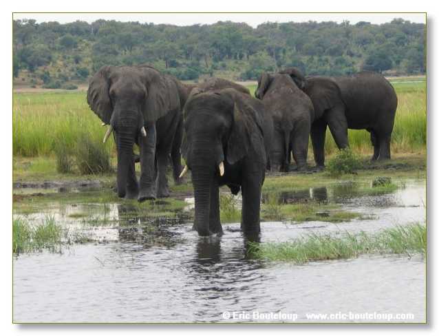 135_BOTSWANA_ZAMBIE_2005_Mars