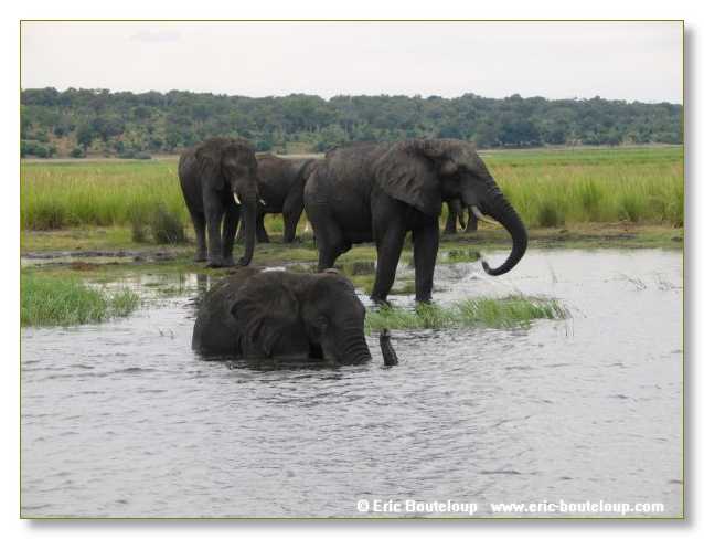 136_BOTSWANA_ZAMBIE_2005_Mars