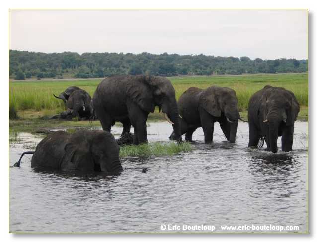 137_BOTSWANA_ZAMBIE_2005_Mars