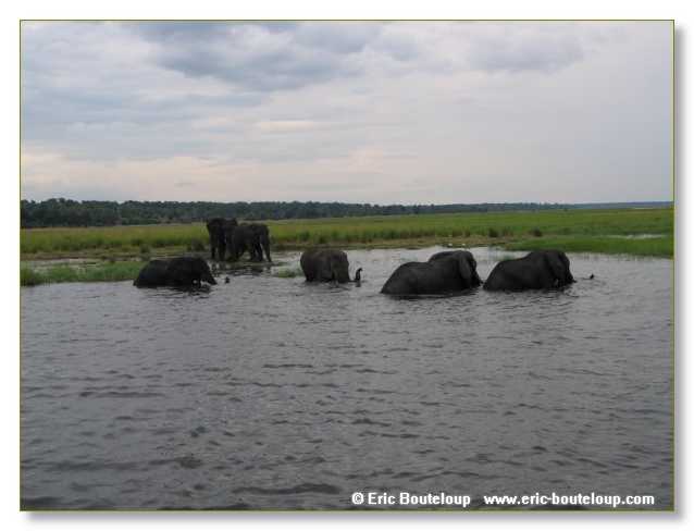 141_BOTSWANA_ZAMBIE_2005_Mars