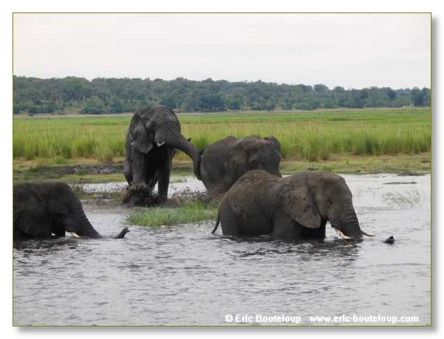 142_BOTSWANA_ZAMBIE_2005_Mars