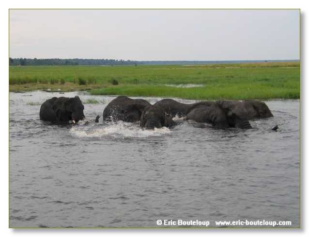 143_BOTSWANA_ZAMBIE_2005_Mars