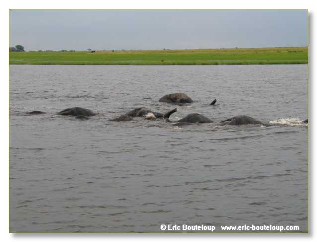 144_BOTSWANA_ZAMBIE_2005_Mars