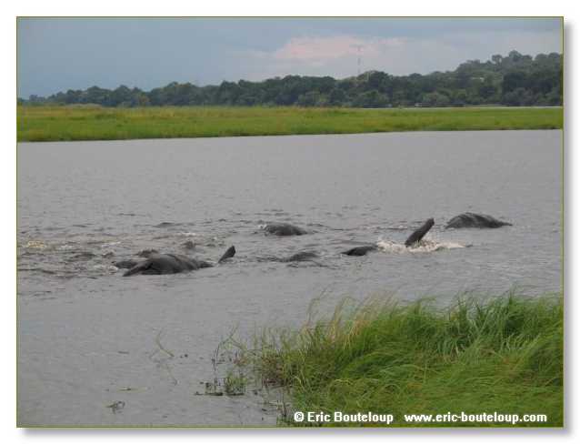 145_BOTSWANA_ZAMBIE_2005_Mars