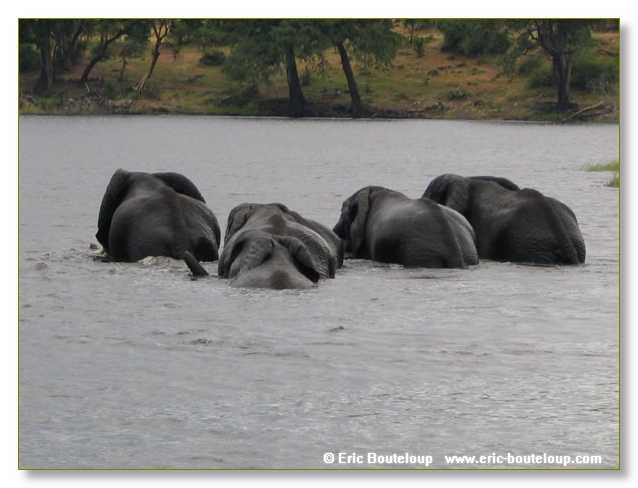 146_BOTSWANA_ZAMBIE_2005_Mars