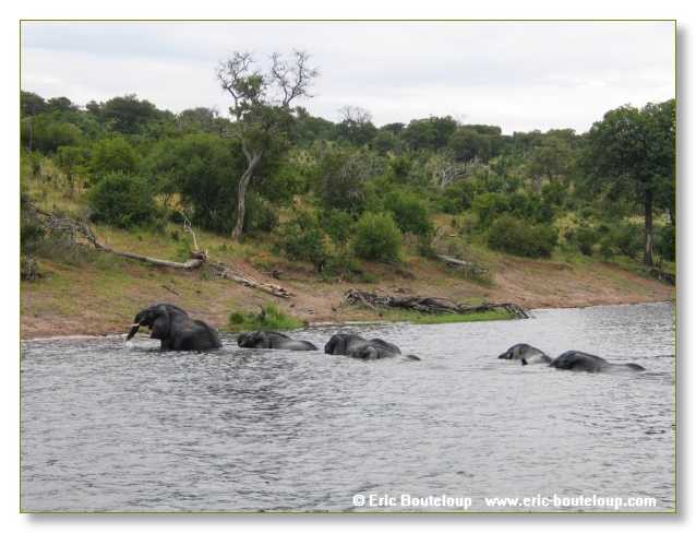 149_BOTSWANA_ZAMBIE_2005_Mars