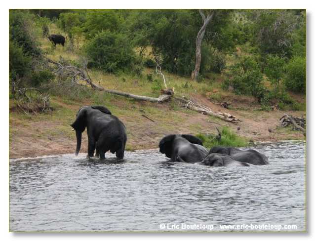 150_BOTSWANA_ZAMBIE_2005_Mars