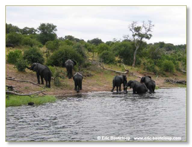 151_BOTSWANA_ZAMBIE_2005_Mars