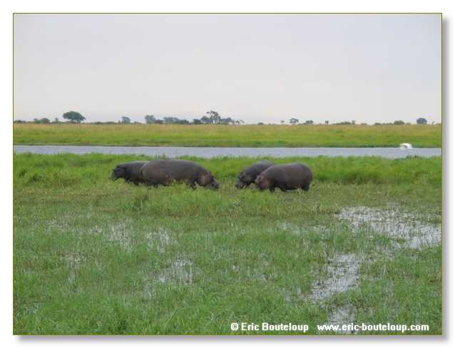 152_BOTSWANA_ZAMBIE_2005_Mars