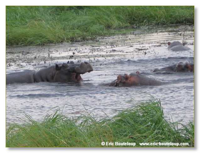 156_BOTSWANA_ZAMBIE_2005_Mars