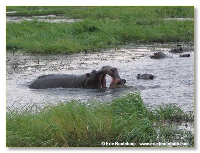 158_BOTSWANA_ZAMBIE_2005_Mars