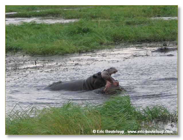 159_BOTSWANA_ZAMBIE_2005_Mars