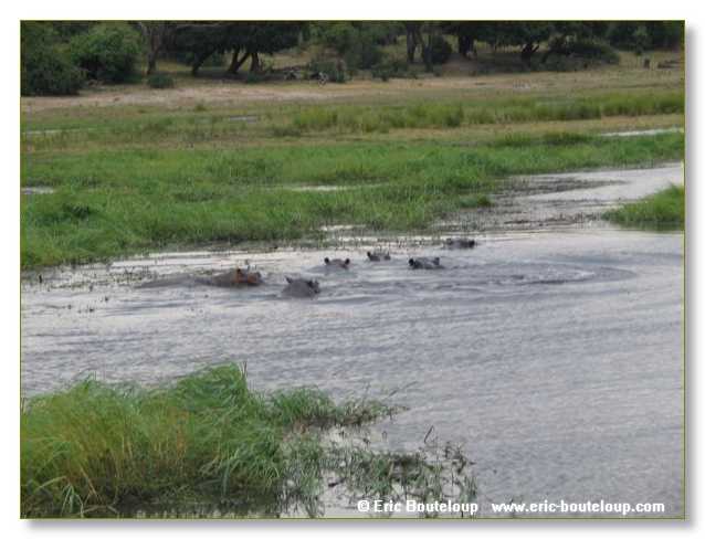 161_BOTSWANA_ZAMBIE_2005_Mars