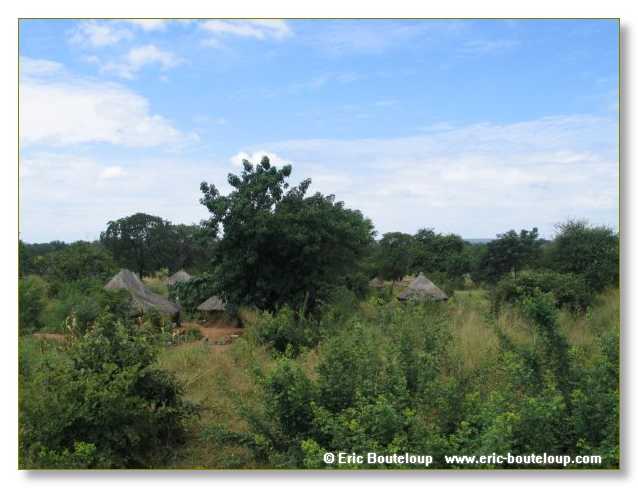 197_BOTSWANA_ZAMBIE_2005_Mars