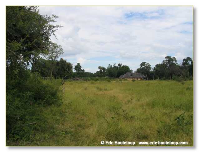 199_BOTSWANA_ZAMBIE_2005_Mars