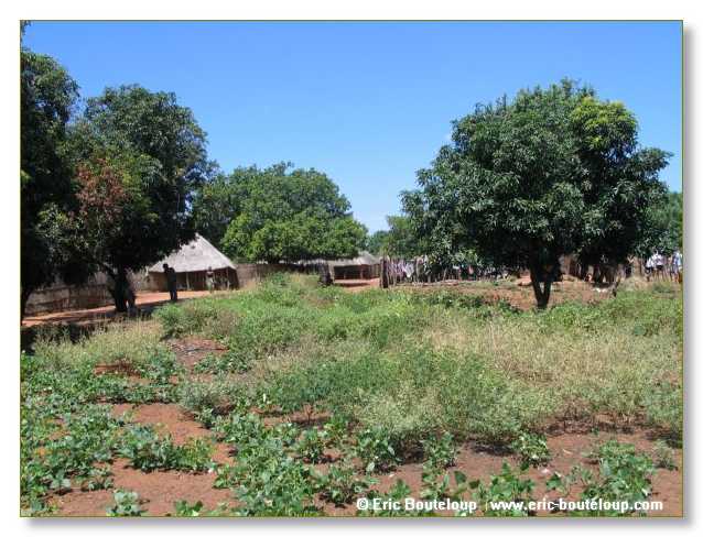 237_BOTSWANA_ZAMBIE_2005_Mars