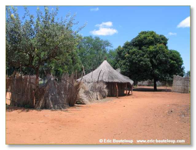 242_BOTSWANA_ZAMBIE_2005_Mars