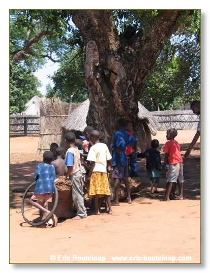 291_BOTSWANA_ZAMBIE_2005_Mars