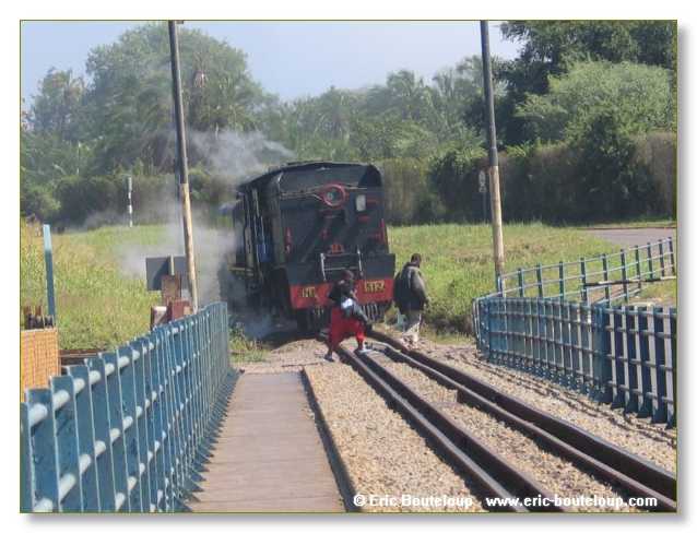 362_BOTSWANA_ZAMBIE_2005_Mars